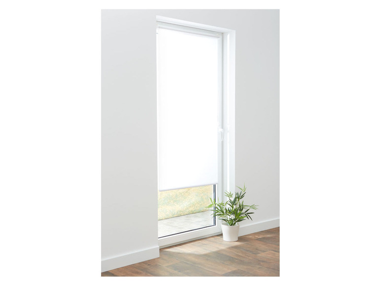 LIVARNO home Tageslichtrollo, für Türen, ohne Bohren, 80x100cm Fabrik Onlineshop