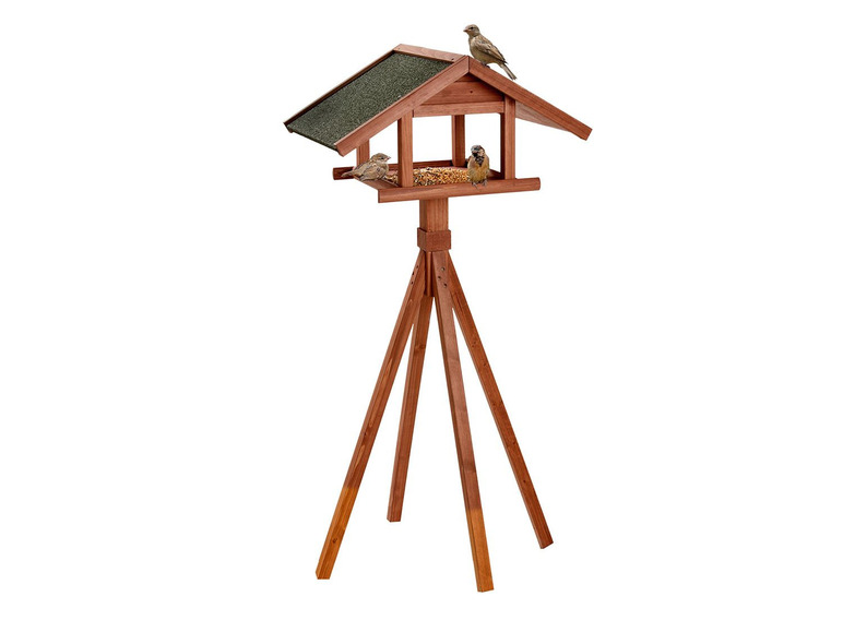 Karlie Bird's World Wild Remo Fabrikpreis
