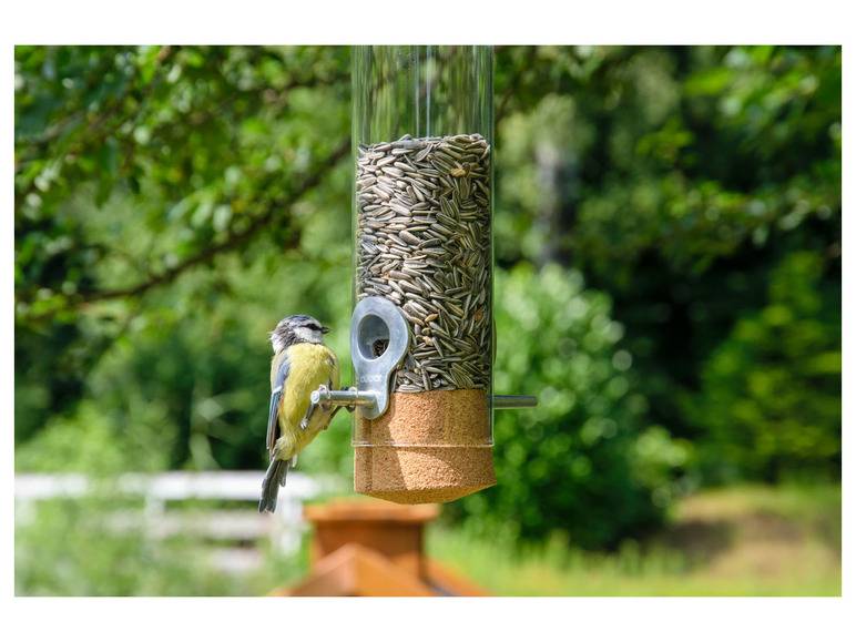 dobar Futterspender »Premium-Pickbar«, aus Echtglas Sonderangebot