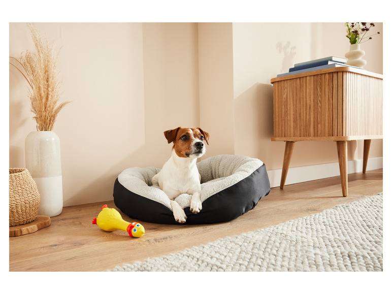 zoofari® Hundebett, mit kuscheligem Plüsch Online Shopping