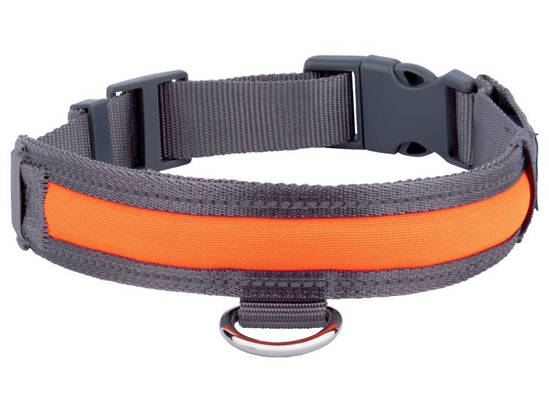zoofari® Hundehalsband, mit LED Muttertagsangebot