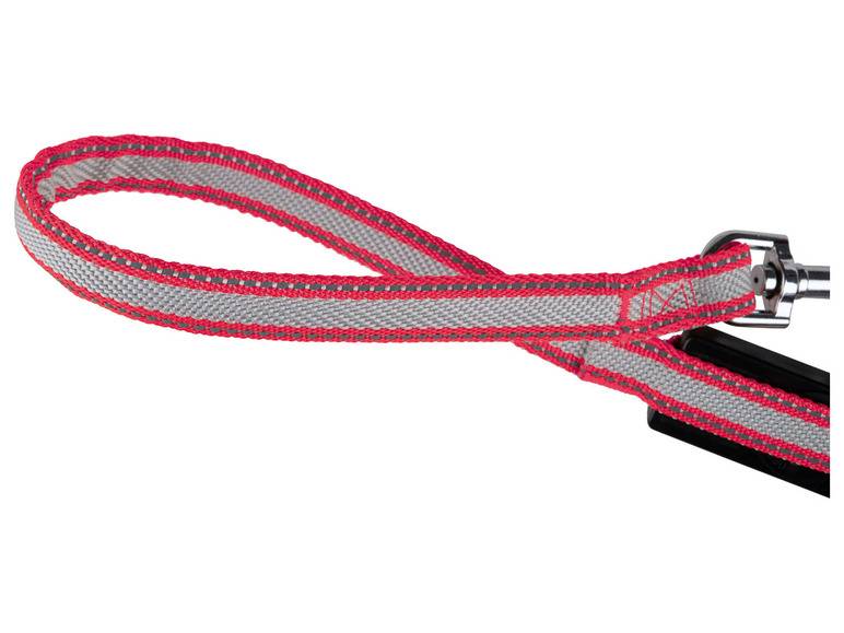 zoofari® Ausziehleine LED, 3 Leuchtfunktionen Jubiläumsangebot