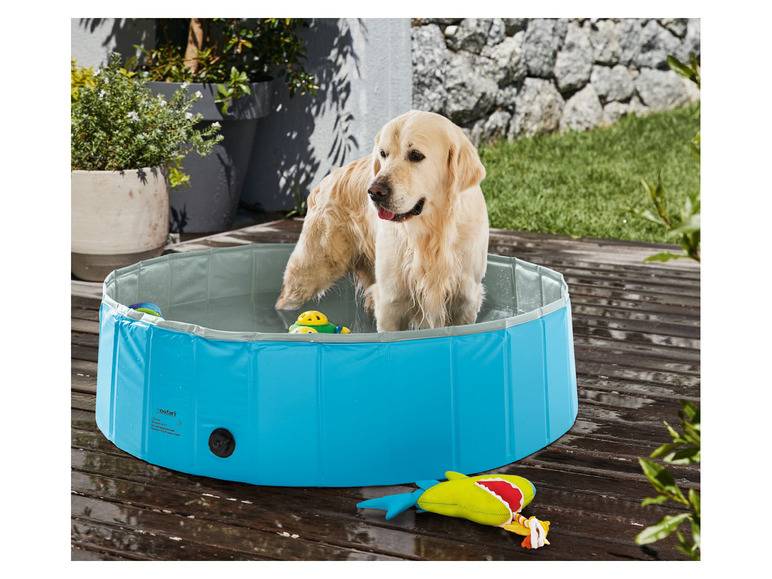 zoofari® Hundepool, Ø 120 x H 30 cm, mit Antirutsch-Boden Neueste Mode