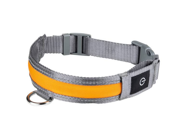 zoofari® LED-Hundeleuchtband, mit wiederaufladbarem Akku Blitzangebot