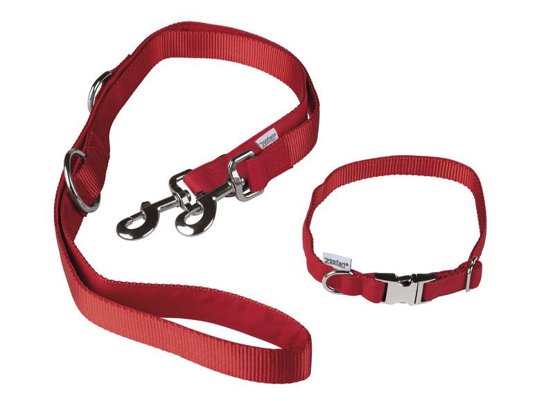 zoofari® Hundehalsband mit Hundeleine Kauf eins, bekomm eins gratis