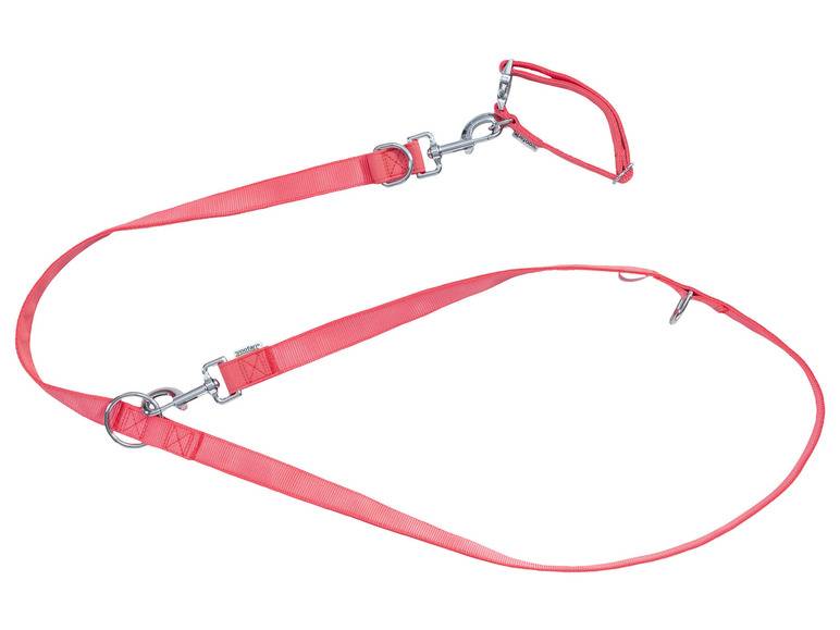 zoofari® Hundehalsband und Hundeleine Sonderangebote