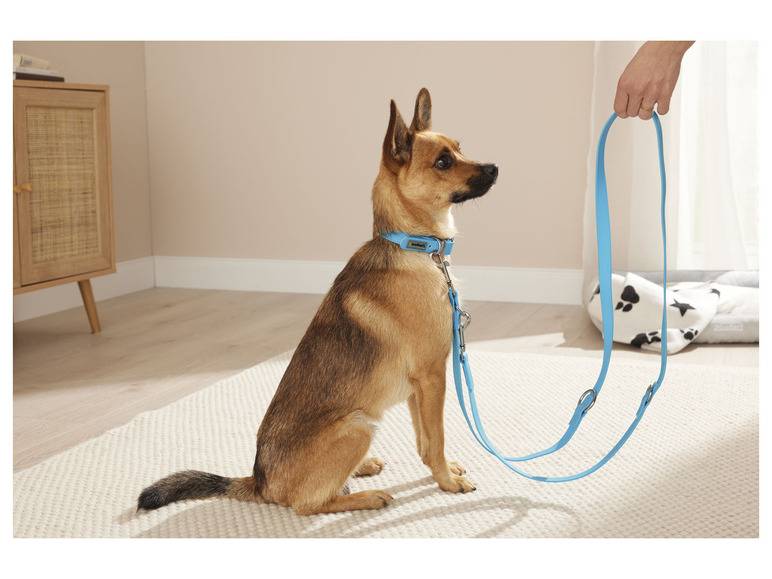 zoofari® Hundehalsband und Leine, 3-fach verstellbar VIP-Rabatte