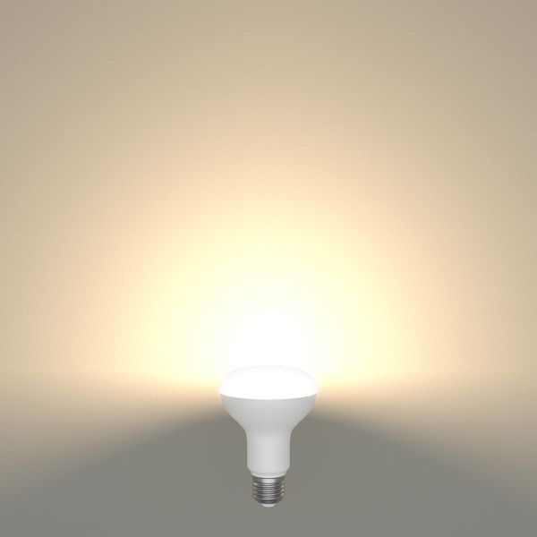 E27 LED Leuchtmittel, R80, 10 W, matt (Lichtfarbe wählbar) Lagerräumung