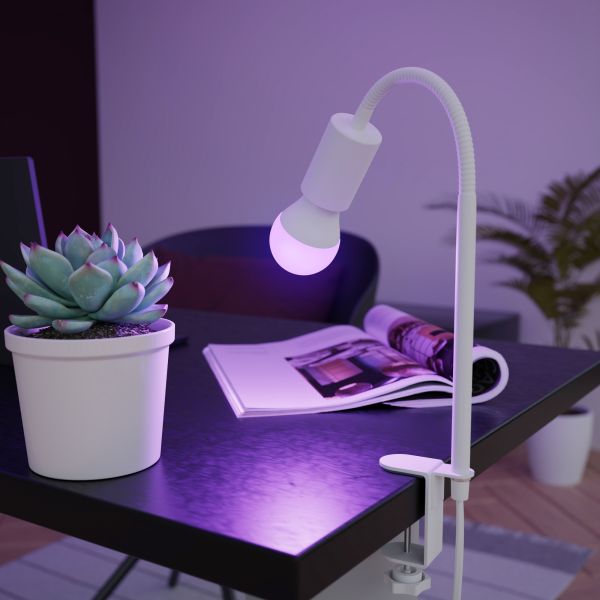 E27 LED RGB Leuchtmittel, A60, warmweiß - kaltweiß (3000 - 6500 K), 9,4 W, 892lm, Smart Home, WLAN, Alexa, matt Speichern exportieren