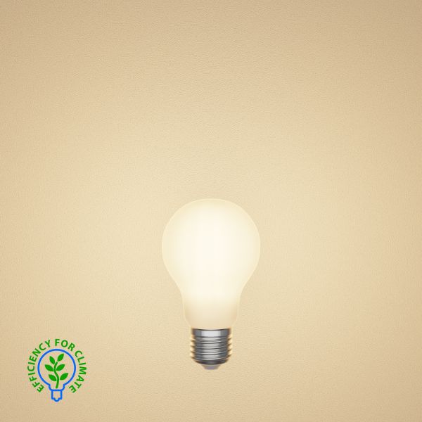 E27 LED Leuchtmittel, A60, Energieeffizienzklasse A, gefrostet (Lichtfarbe wählbar) 50% Rabatt für begrenzte Zeit
