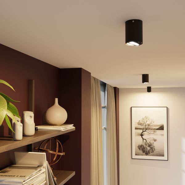 Deckenleuchte DEJO, 80mm Ø + GU10 Smart Home RGBW LED 473lm (Farbe wählbar) Zeitlich begrenztes Angebot