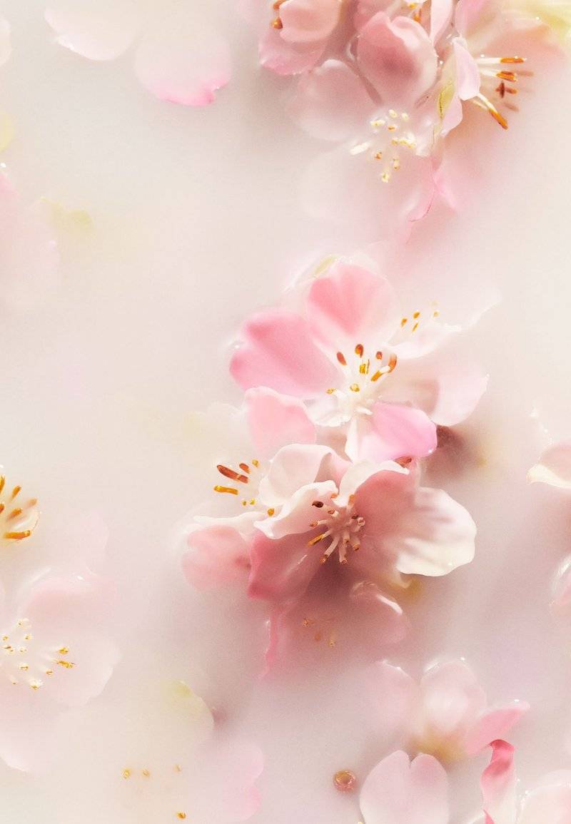 Rituals Rituals FOAMING SHOWER GEL TRAVEL SIZE THE RITUAL OF SAKURA - FLORAL - CHERRY BLOSSOM & RICE MILK - Shower gel Osterangebot