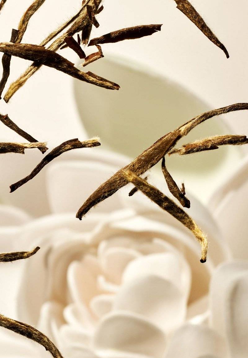 Rituals Rituals FRAGRANCE STICKS THE RITUAL OF KARMA - DELICATELY SWEET - LOTUS & WHITE TEA - Home fragrance VIP-Rabatte