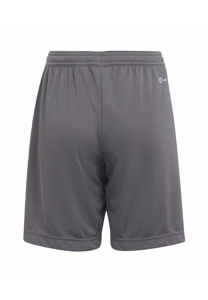 adidas Performance adidas Performance ENTRADA - Sports shorts - grey Preisnachlass