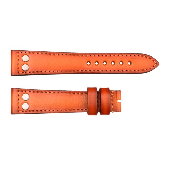 Steinhart Lederband cognac mit Nieten Größe S Versandkostenfrei
